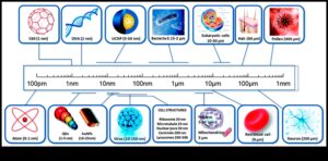 Atomdan Nanoölçeğe Bir Nanoteknoloji